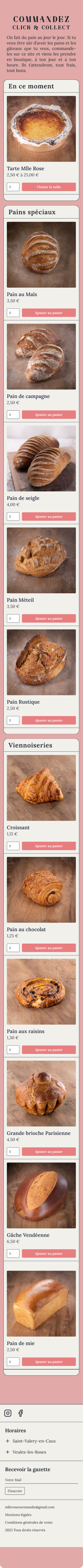 Mlle-Rose_Mobile-Mockup_Content